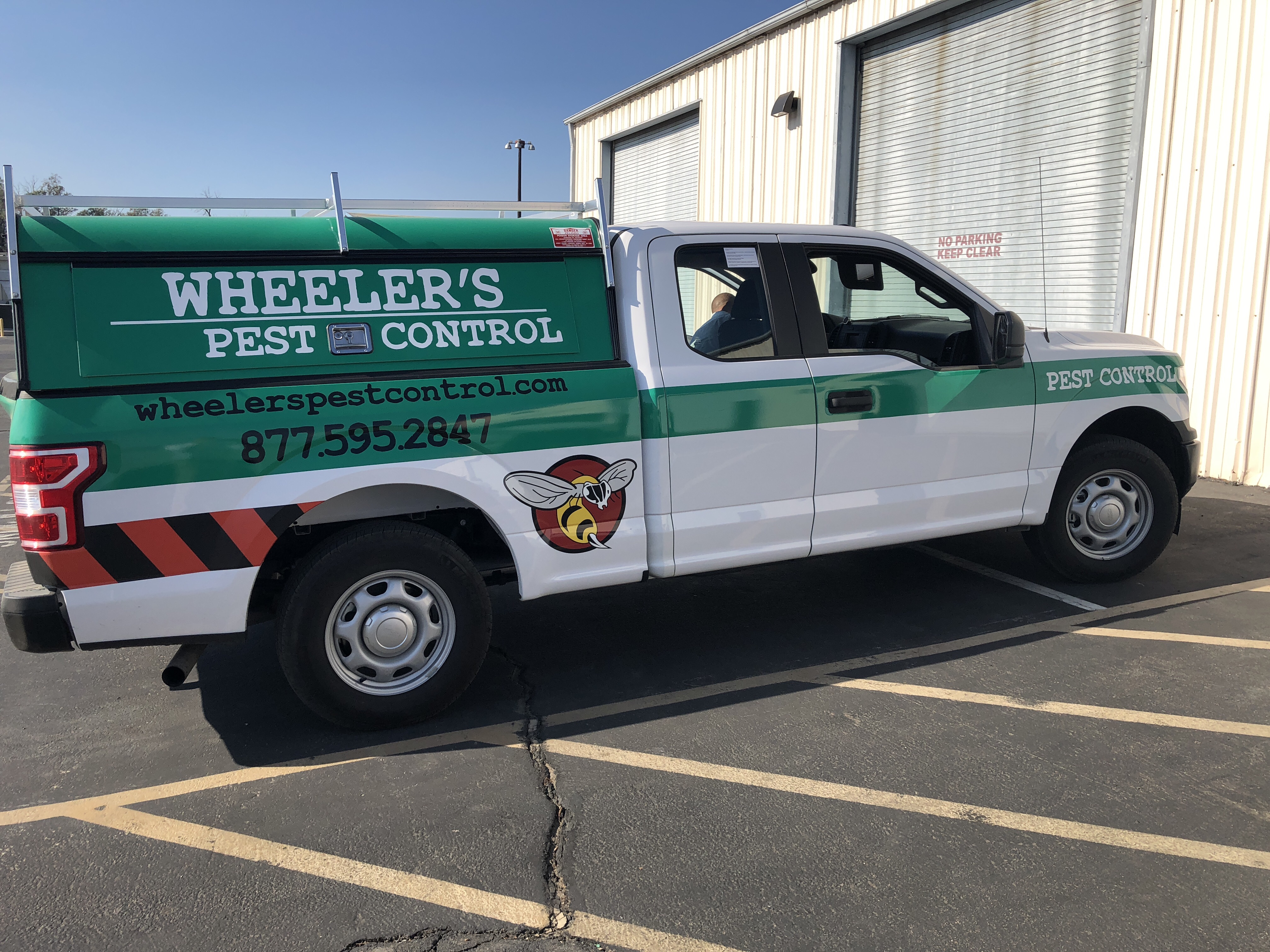 Squirrel Removal in Menifee, CA