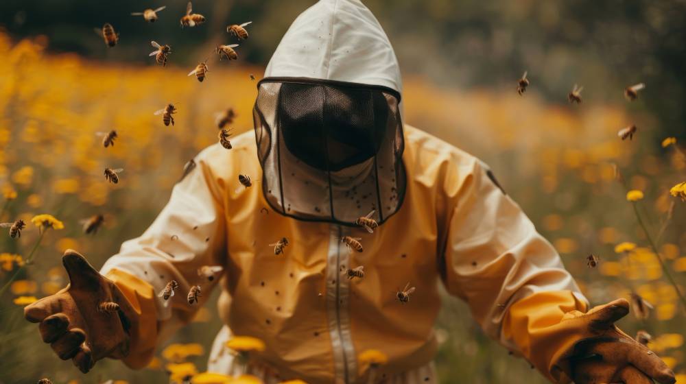 Bee Removal in Lake Elsinore, CA